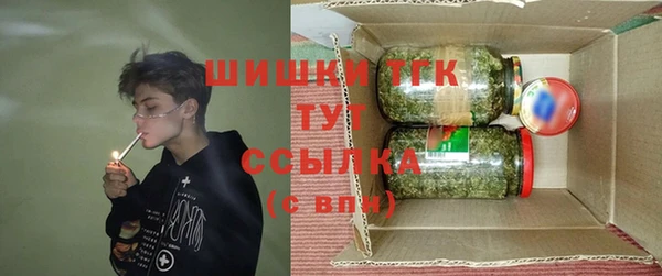 шишки Беломорск
