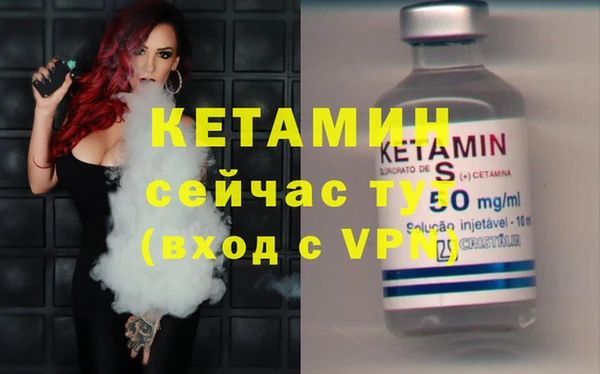 шишки Беломорск