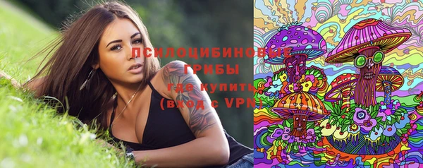 шишки Беломорск