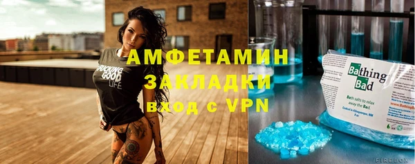 шишки Беломорск