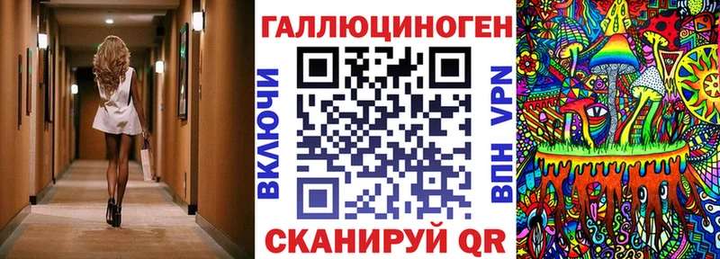 где найти наркотики  Шуя  Псилоцибиновые грибы GOLDEN TEACHER 